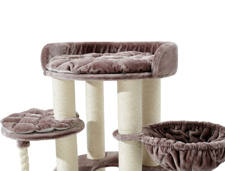 Nobby Kratzbaum Arda